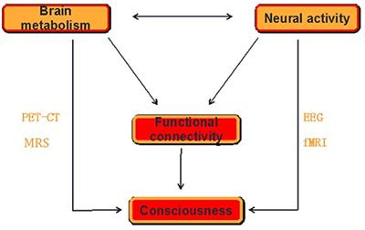 How Energy Supports Our Brain to Yield Consciousness: Insights From Neuroimaging Based on the Neuroenergetics Hypothesis